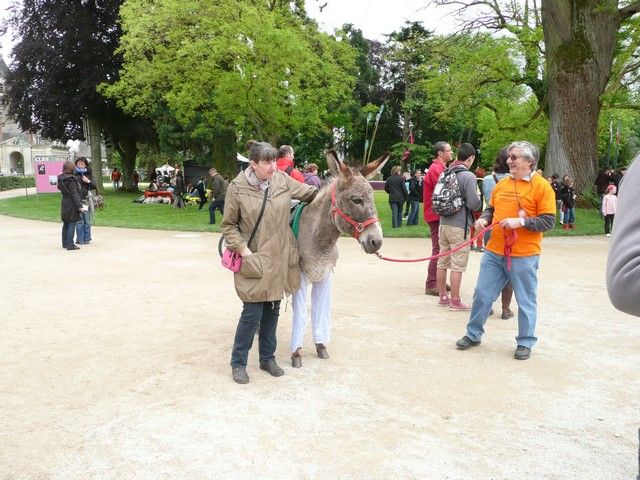 rodho 2013 (85).jpg